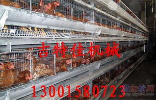 吉特佳山东鸡笼厂 专注蛋鸡笼与数控机床销售的服务商